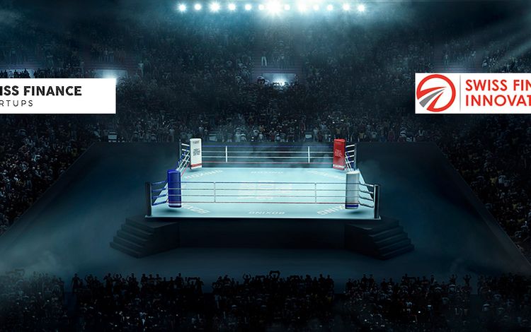 Boxring und Diskussionen